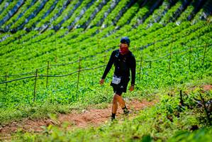 BIB: 
                            <button type="button" onclick="openModal(19163466)" class="btn btn-primary btn-sm float-right btn-popup" data-toggle="modal" data-target=".modal-high-quality">
                        <i class="fas fa-shopping-cart"></i> Add to Cart
                    </button>
                                            <button type="button" onclick="isThisMe(19163466, true)" class="btn btn-success btn-sm float-right btn-popup btn-isme hidden" data-toggle="tooltip" data-placement="bottom" title="นี่คือรูปของคุณใช่ไหม คลิกที่นี่เพื่อเอาเข้าอัลบั้ม">
                        <i class="fas fa-plus"></i> Add to album
                    </button>
                    <button type="button" onclick="isThisMe(19163466, false)" class="btn btn-warning btn-sm float-right btn-popup btn-isnotme hidden">
                        <i class="fas fa-ban"></i> Remove from album
                    </button>